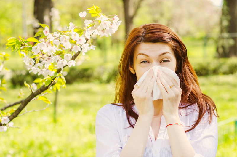 allergy